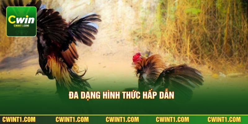 Đa dạng hình thức hấp dẫn