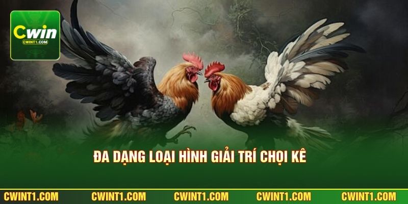 Đa dạng loại hình giải trí chọi kê