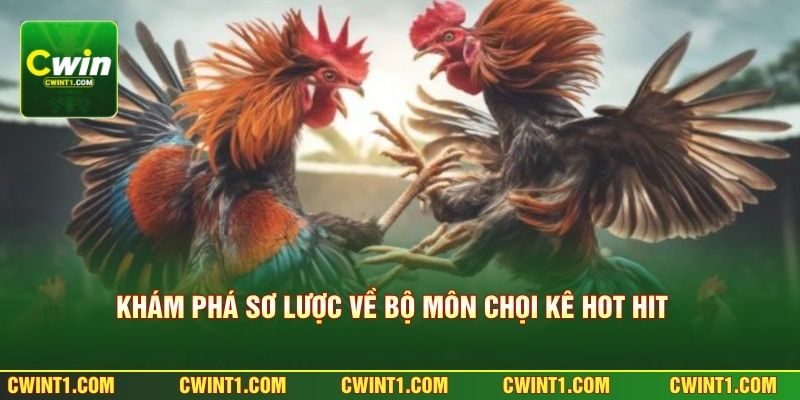 Khám phá sơ lược về bộ môn chọi kê hot hit