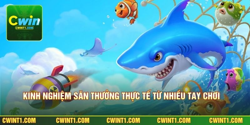 Kinh nghiệm săn thưởng thực tế từ nhiều tay chơi 