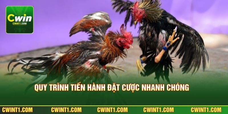 Quy trình tiến hành đặt cược nhanh chóng