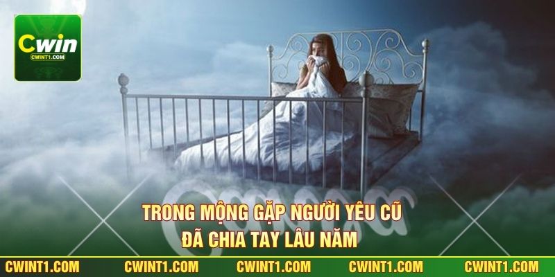Trong mộng gặp người yêu cũ đã chia tay lâu năm 